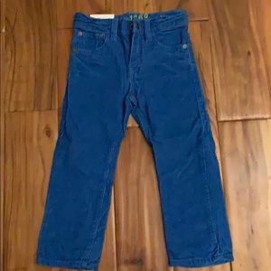 NWT Baby GAP Corduroy Pants